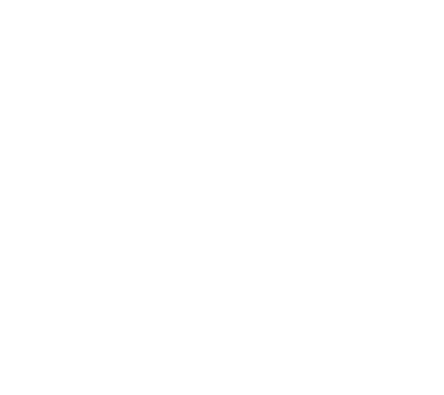 LATAM COMPANY